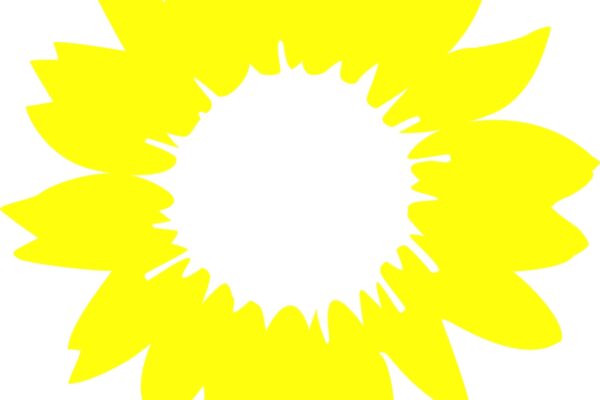 Haushaltsschwerpunkte der GRÜNEN Fraktion für den Doppelhaushalt 2021/2022 