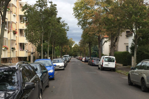 Dank Engagement von Plauener Grünen: