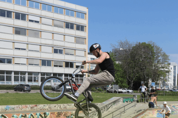 Grüne Initiative Sommerprogramm startet jetzt!