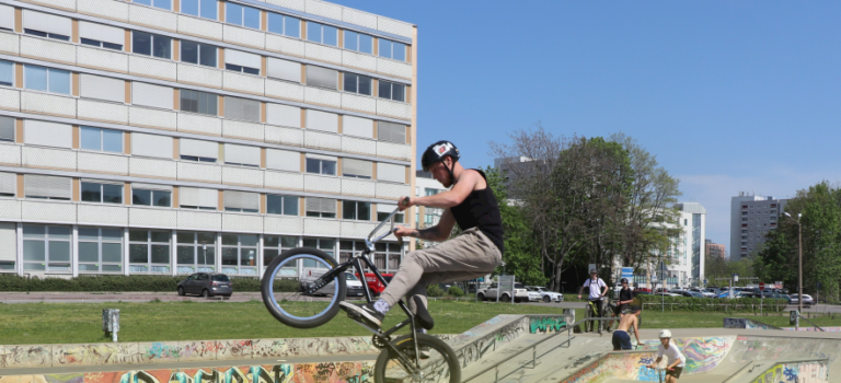 Grüne Initiative Sommerprogramm startet jetzt!
