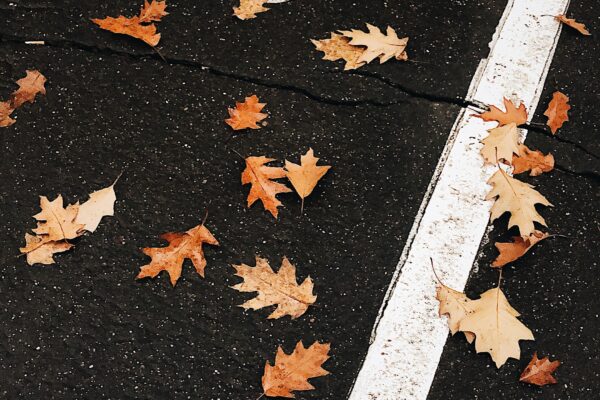 Petitionsausschuss beschließt sichere Radwege