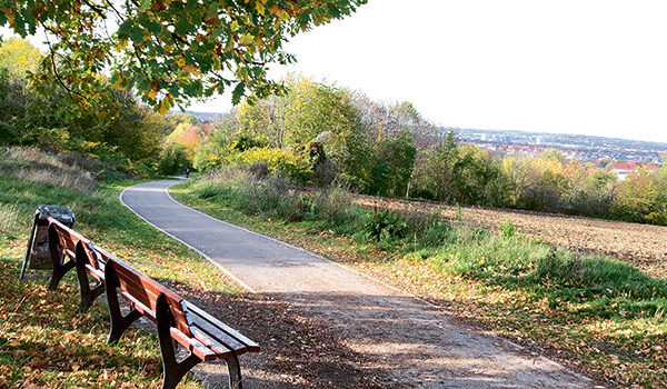Auch die deutlich geschrumpfte BUGA muss nachhaltigen Nutzen haben für Dresden