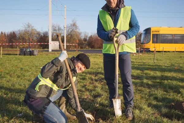 Grüne pflanzen 500 Bäume und Sträucher
