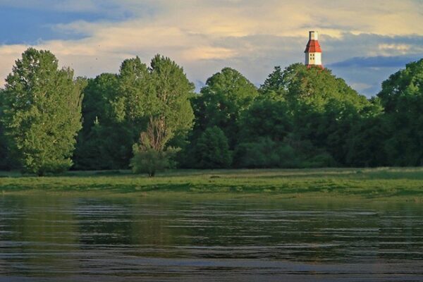 Grüne für Rad- und Fußbrücke von Pieschen ins Ostragehege