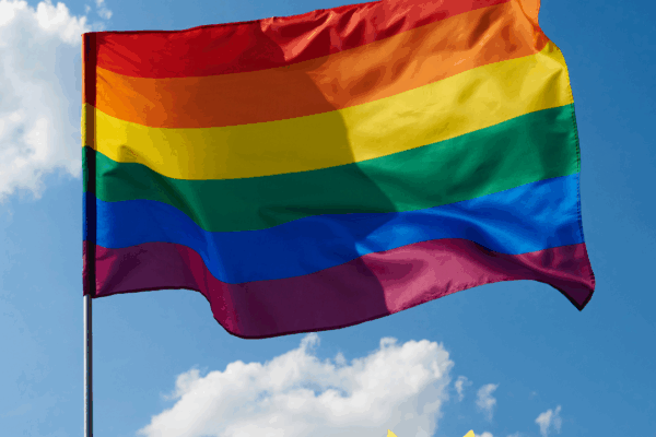 Statement: Flagge verbrannt in Dresden