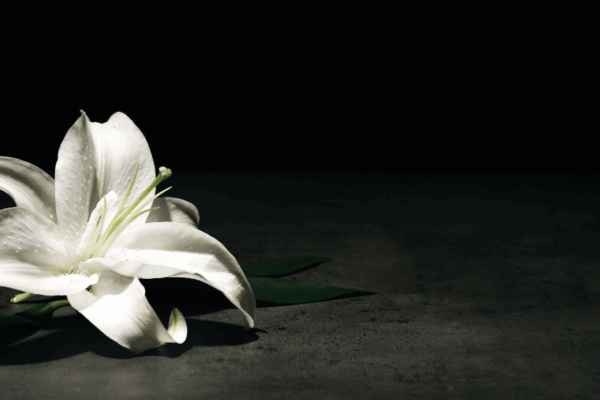 Zum Tod von Dr. Nora Goldenbogen