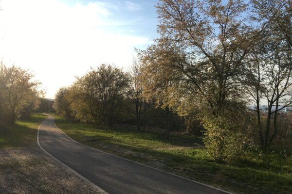 Auch geschrumpfte BUGA muss nachhaltigen Nutzen haben