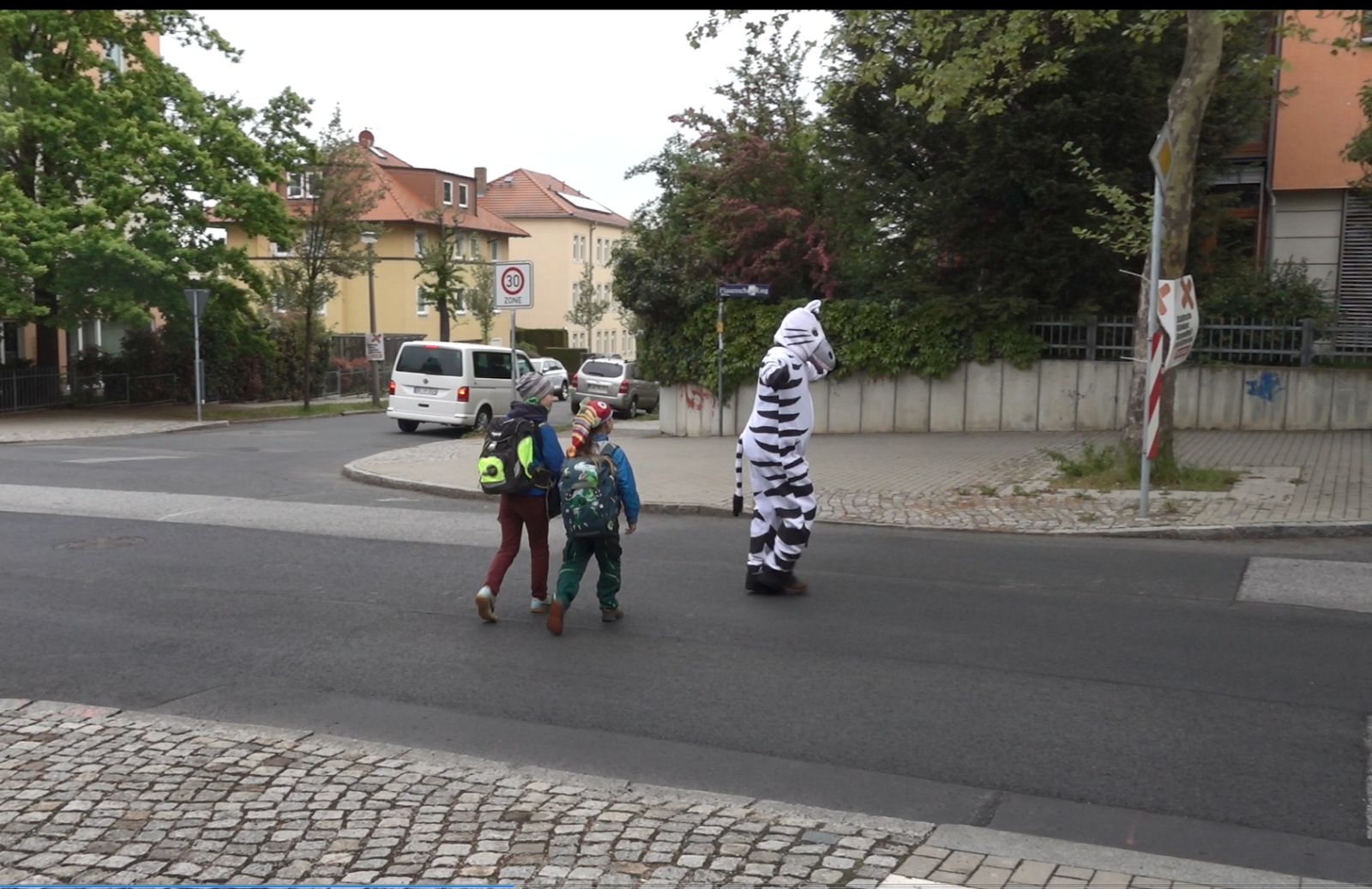 Plauener Grüne begrüßen Zebrastreifen auf dem Plauenschen Ring